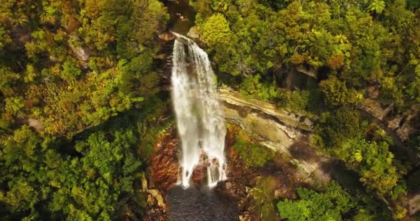 Aerial Top View Millerton Waterfall Forest New Zealand Boom Shot — Stock Video