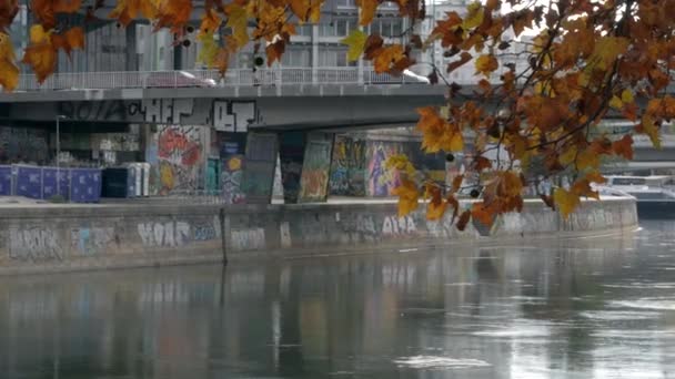 ドナウ川の岸と車やサイクルが曇りの秋の夜に通過している橋の静的な景色 落書きは 川の銀行や橋の下に描かれた 秋の黄色い葉 — ストック動画