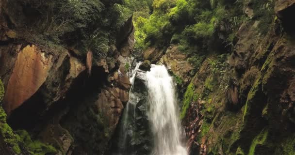 Hermosa Naturaleza Alrededor Cascada Millerton Nueva Zelanda Tiro Constante Mano — Vídeos de Stock