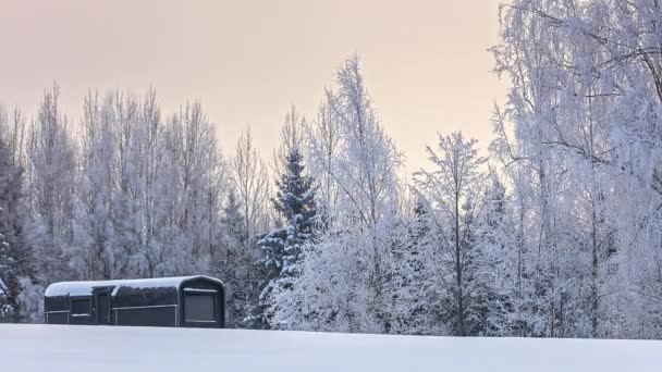 Paisajes Fríos Invierno Con Nieve Blanca Pequeña Cabaña Madera Casa — Vídeos de Stock