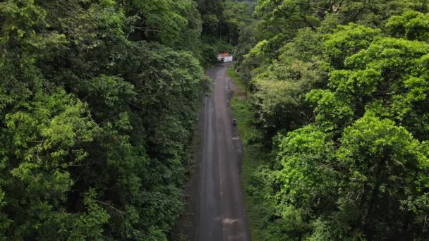 Camino Pavimentado Que Conduce Través Espesa Selva Del Noroeste Costa — Vídeos de Stock