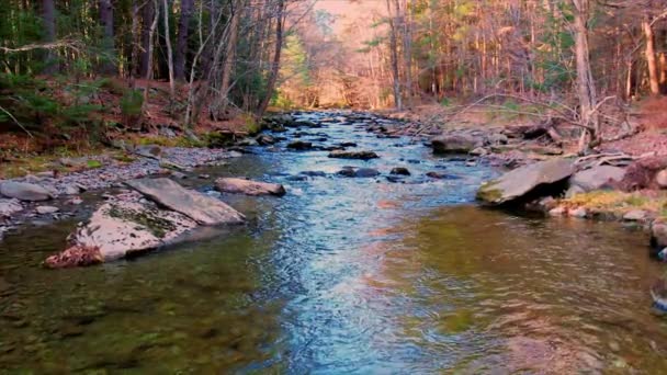 Basso Drone Aereo Riprese Video Rallentatore Torrente Foresta Montagna Durante — Video Stock