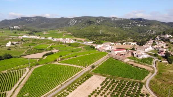 Luftaufnahme Stadt Inmitten Grüner Weinberge — Stockvideo