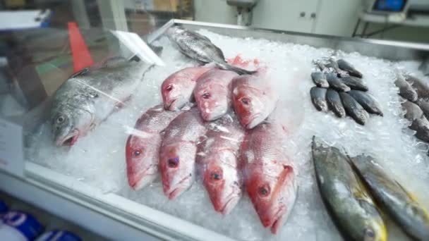 Verschiedene Arten Von Ganzen Fischen Mit Eis Fischhändlern Fischmarkt Vitrine — Stockvideo