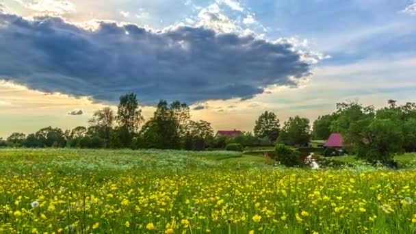 Motion timelapse. Flowering rapeseed field under fast moving clouds and dramatic sky timelapse footage in 4k. Mustard flowers mystical flower of happiness and health video. Shot in 5k