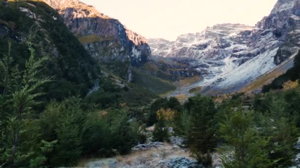 Prachtig Idyllisch Berglandschap Met Bosbomen Glacier Burn Track Nieuw Zeeland — Stockvideo