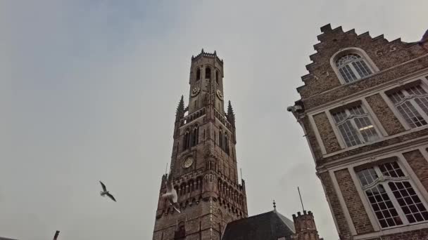 Найбільш Вражаюча Вежа Брюгге Белфрі Карійоні Захищена Єкт Всесвітньої Спадщини — стокове відео