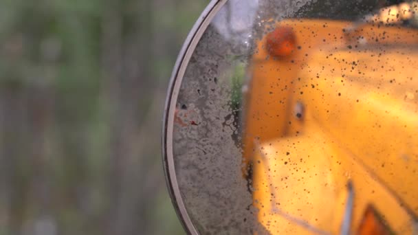 Autobus Scolaire Abandonné Dans Jungle — Video