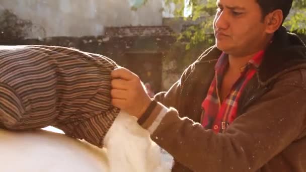 Hombre Trabajando Afuera Llenando Almohada Tienda India Algodón Aldea India — Vídeos de Stock