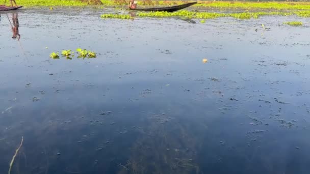 Schiffer Segeln Sumpfland Luftaufnahme Eines Paares Genießen Bootsfahrt Dorf Bortirbil — Stockvideo