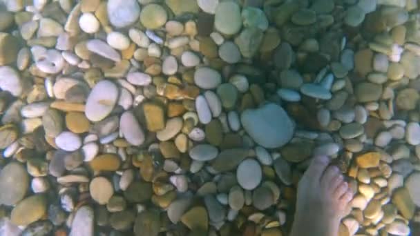 Osobista Perspektywa Człowieka Stóp Nóg Chodzących Pod Wodą Kamienistym Dnie — Wideo stockowe