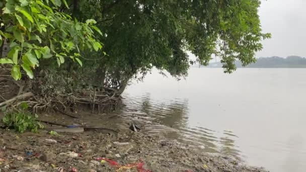 Ghats Pesantemente Inquinati Adi Ganga Acqua Dall Aspetto Sporco Piena — Video Stock