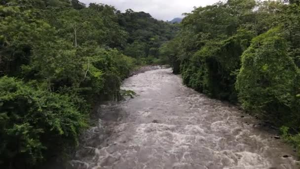 熱帯雨林の間を流れる茶色の川の低飛行4Kの空中映像は川岸を支配した コスタリカのジャングルを蛇行リオ ペナス ブランカ 中米のエコツーリズムの概念 — ストック動画