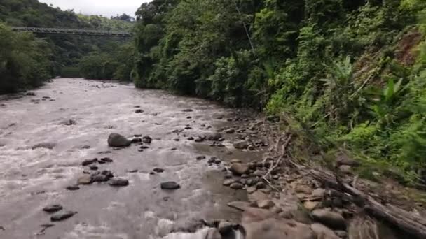 Rekaman Udara Terbang Rendah Dari Sungai Coklat Yang Mengalir Dalam — Stok Video