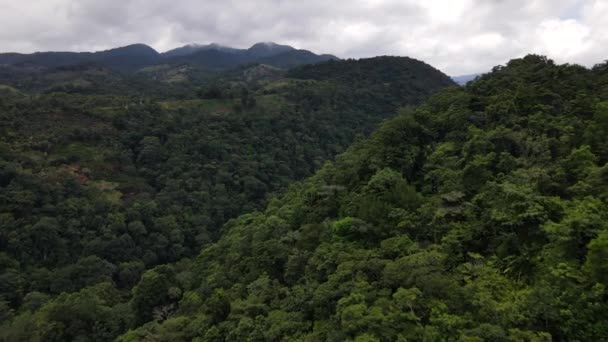 在哥斯达黎加丛林中的峡谷中飞行的4K长空中视频 大秃鹰经过的时候很近可持续能源生产大坝位于山水奇景的最底层 — 图库视频影像