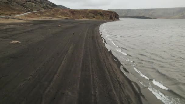 Fast Aerial Flyover Person Walking Alone Black Sand Beach Iceland — Stock Video