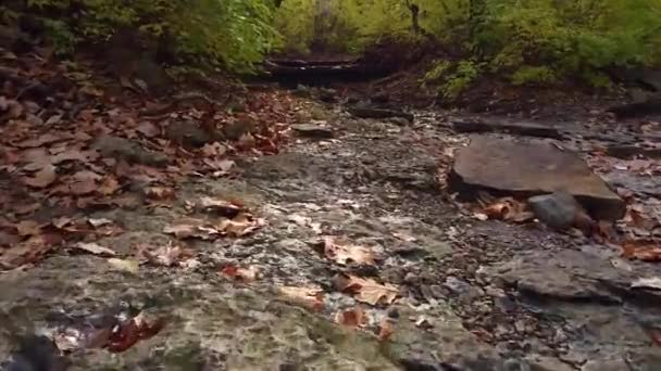 Tiro Cascada Creek — Vídeos de Stock
