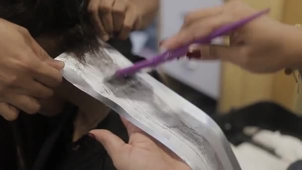 女の子のスタイリストは 髪の色を変更するには クライアントの髪の毛の治療を適用します 美容室ビジネス — ストック動画