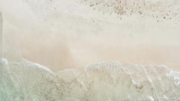 Aerial Crane Revealing Single Woman Walking Deserted Tropical Beach Solo — Stock Video