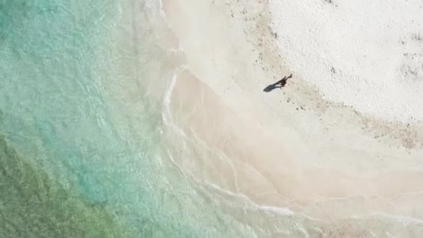 Letecký Svobodná Žena Turistické Nošení Sarong Procházky Pláži Během Letních — Stock video