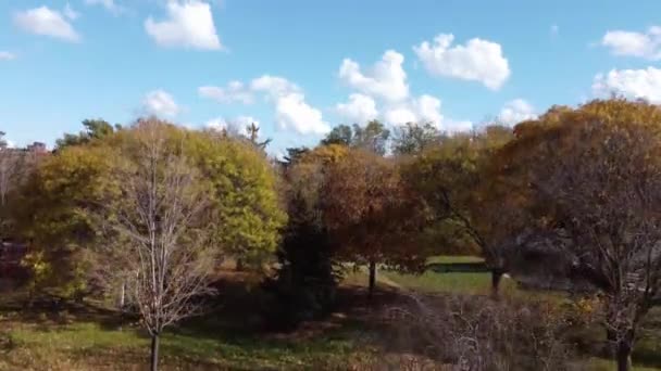 Krásný Zalesněný Park Blízkosti Velkého Města Registrovaného Dronem — Stock video