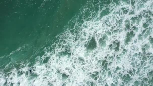 オーストラリアのレノックス ヘッドでサーフィンをしている人々の4Kドローンズームアウトショット — ストック動画