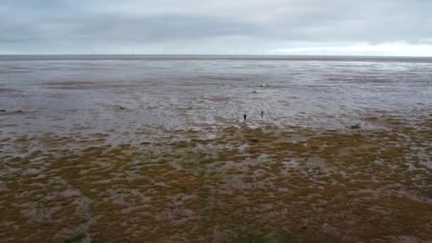 Wandelen Met Hond Verte Van Een Drone Door Een Stemmig — Stockvideo