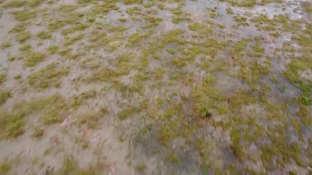 Eine Drohne Schoss Über Etwas Launisch Aussehenden Sand Von Oben — Stockvideo