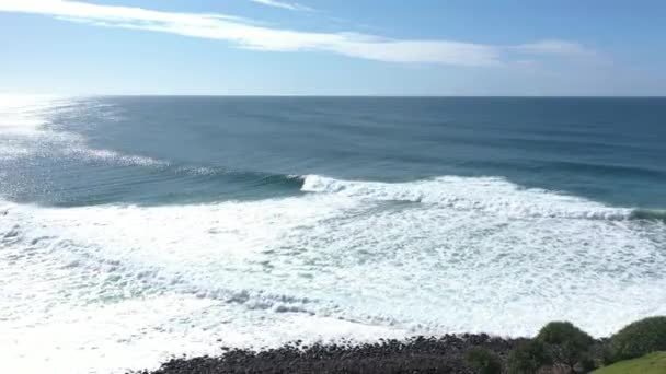 오스트레일리아 레녹스 헤드의 아름다운 해안의 — 비디오