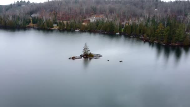 Arround Tree Uma Ilha Durante Outono Laurentide Quebec — Vídeo de Stock