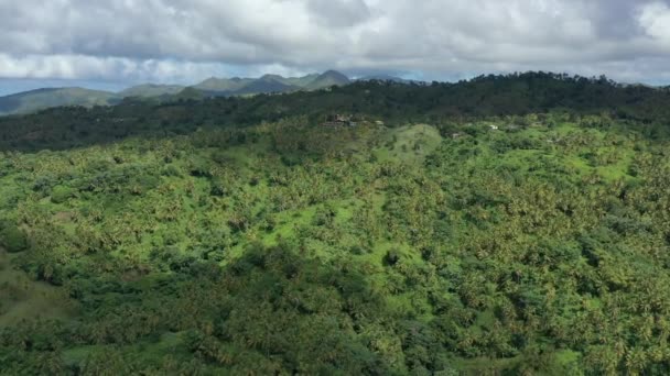Drone Latający Nad Zielonym Bujnym Lasem Pobliżu Zatoki Samana Republice — Wideo stockowe
