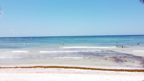 Vuelo Desde Playa Hasta Mar Fly Beach Sea Cancun Mexico — стоковое видео