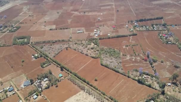 Luchtfoto Boven Rustieke Landbouwgronden Met Een Tractor Aan Het Werk — Stockvideo