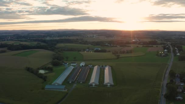 Aérea Descendente América Rural Granja Familiar Atardecer Graneros Gallineros Caminos — Vídeo de stock