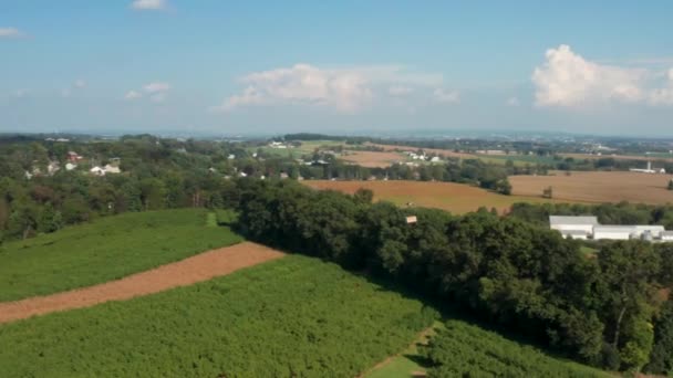 Aereo Drone Consegna Pacchetto Campagna Rurale Colpo Unico — Video Stock