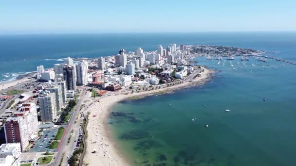 Punta Del Este Uruguay Daki Inanılmaz Plajların Gökdelenlerin Insansız Hava — Stok video