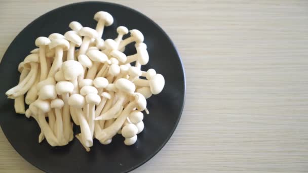 Cogumelo Branco Fresco Faia Cogumelo Branco Reishi Placa — Vídeo de Stock