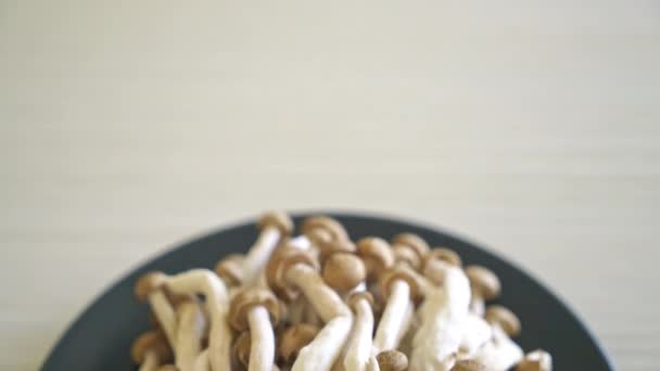盘中新鲜的褐色山核桃蘑菇或黑色丽西蘑菇 — 图库视频影像