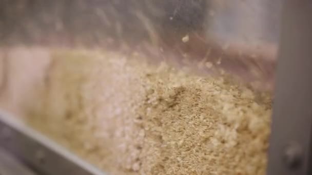 Getreide Wird Durch Gezielte Belüftung Getrocknet — Stockvideo