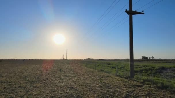 Rückwärtsantenne Von Hochspannungsleitungen Autos Und Feldern Pampa Argentinien — Stockvideo