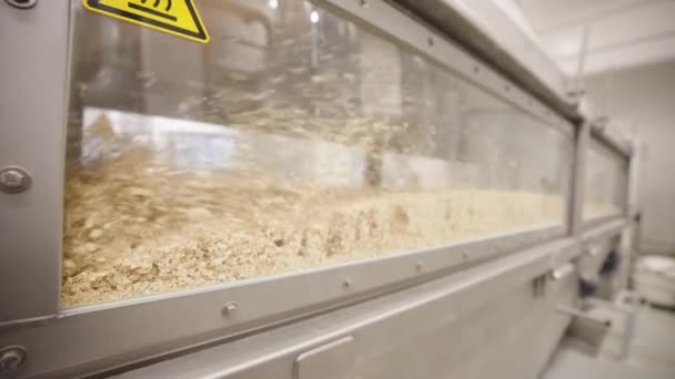 Una Máquina Industrial Para Ventilar Avena Con Fin Secarla — Vídeo de stock