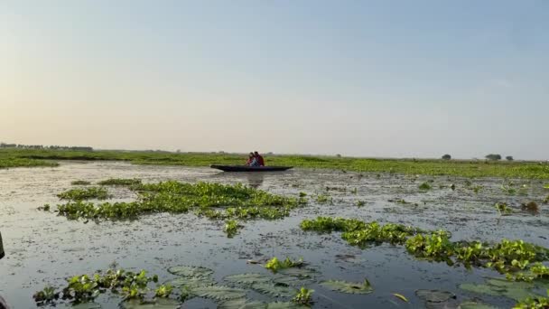 浪漫的情侣们在日落时 在西岸的波尔提比尔沼泽地的木船上欣赏日落的美景 在印度的小船上 夫妻们在一起享受 — 图库视频影像