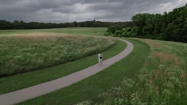 空中无人机观测 风暴期间在草原上漫步 — 图库视频影像
