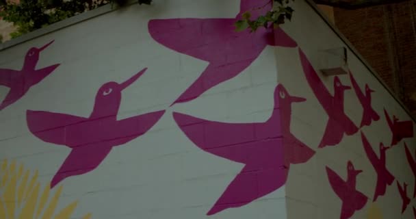 飛行鳥の植物のシンプルな絵とピンクと黄色と緑で着色ダウンタウンのフェンスカバーとして使用 閉じる — ストック動画