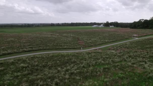 空中ドローンビュー 農場草原の近くのパスを歩く — ストック動画