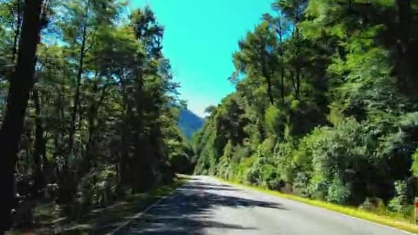 Pov View Körning Väg Lewis Pass Nya Zeeland Bilmonterad Kamera — Stockvideo