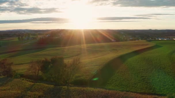 Antenne Der Schönen Natur Sonnenuntergang Bäuerliche Landwirtschaft Felder Sommer Goldene — Stockvideo