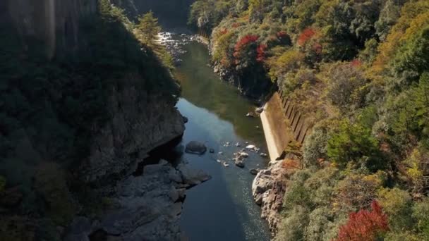 兵庫県航空ビュー 福知山線の秋の山 — ストック動画