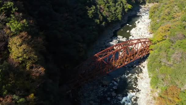 Vecchio Ponte Ferro Abbandonato Sulla Linea Fukuchiyama Autunno Giappone — Video Stock