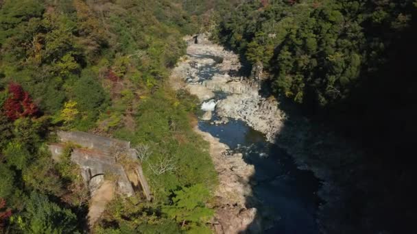 Aerial View Autumn Mountains Takedao Abandoned Railway Hike Japan — Stock Video